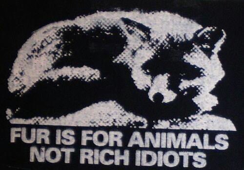 Animal rights graphic of a fox, reads, "Fur is for animals not rich idiots"