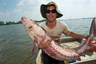 Man posing with Sturgeon on a fishing boat