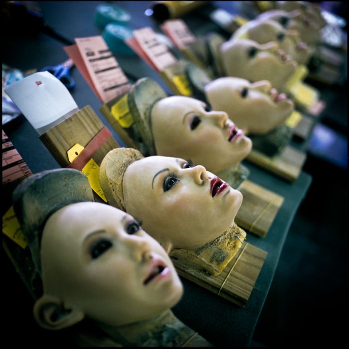 Finished faces wait to be united with their respective Real Doll bodies. Real Dolls is a San Diego based company that makes hi-end silicone sex dolls. The dolls sell for about $7000 each and can be customized to the clients needs. .