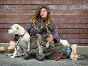 homelessness-and-dogs