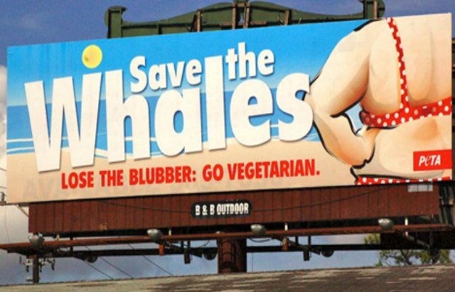 PETA billboard that reads, "Save the Whales. Lose the blubber: Go vegetarian." Features a fat woman in a bikini on the beach