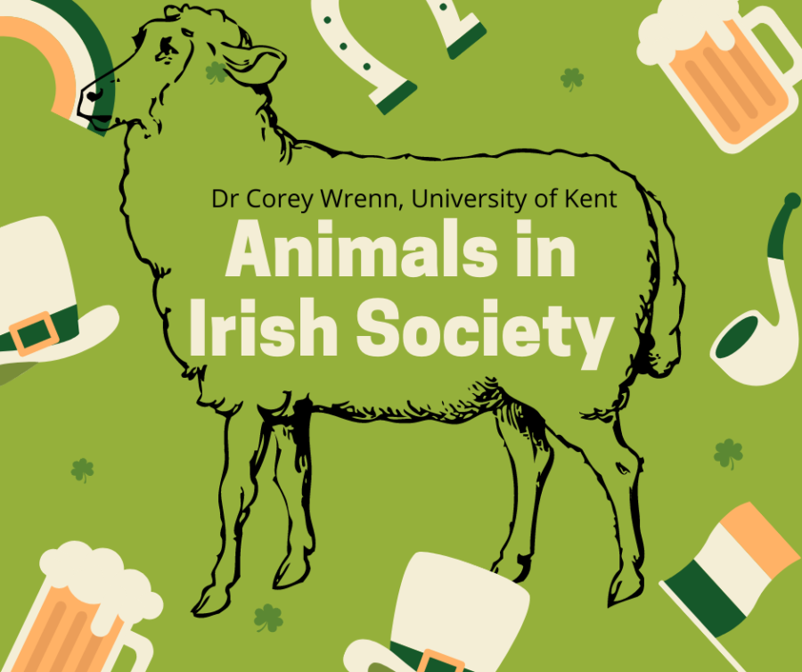 The Church and Medieval Ireland (Animals in Irish Society, Episode 2)